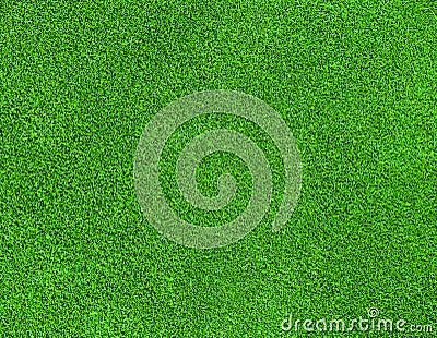 Green grass texture Stock Photo