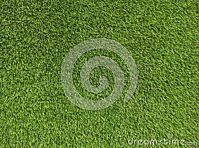 Green grass Texture.Green grass background.View of green grass.Grass texture of football.Fresh grass. Stock Photo
