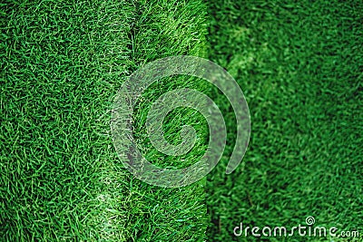 Green grass texture, turf stairs, selective focus shallow depth of field Stock Photo