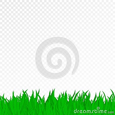 Green grass on a transparent background. Pure nature. Template for your projects. Vector illustration Cartoon Illustration