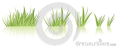 Green grass vector Vector Illustration