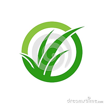 Green grass vector Stock Photo