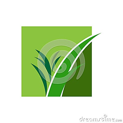 Green grass vector Stock Photo