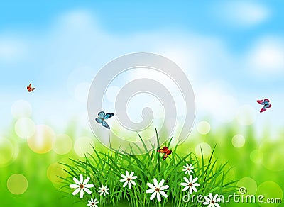Vector element for design. Green grass with white flowers, butterflies on a spring, meadow, blurred background Vector Illustration