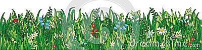 Green grass, wild flowers Vector Illustration