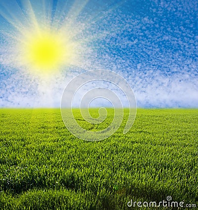 Green grassland Stock Photo