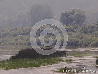 Green grassy island in the midst of river water against the backdrop of a misty shore with bushes and trees Stock Photo