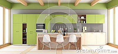 Green and gray modern kitchen Stock Photo