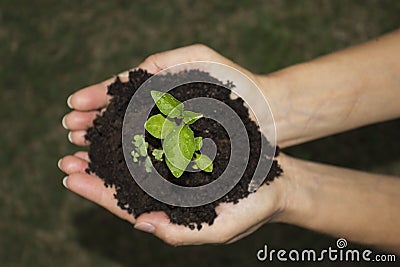 Green ground hands Stock Photo