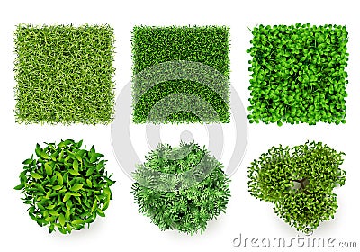 Green ground top view. Eco concept pieces of grass and bushes forest items decent vector realistic plants Vector Illustration