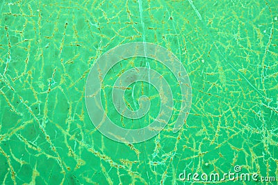 Green grung texture Stock Photo