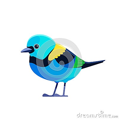 Green headed Tanager, Tangara seledon . Tanager is a brightly-colored bird Cartoon flat style beautiful character of Vector Illustration