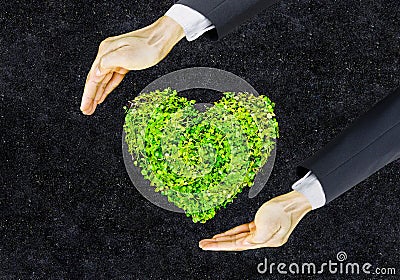 Green heart Stock Photo