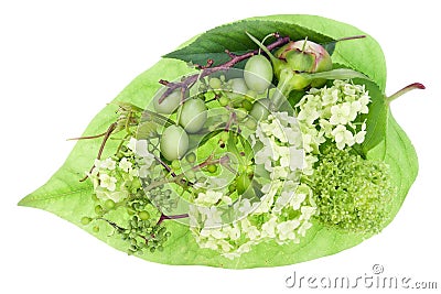 Green heart of June concept Stock Photo