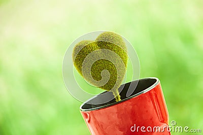 Green heart in red cup Stock Photo