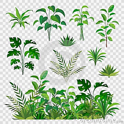 Green herbal elements. Decorative beauty nature ferns and leaf plants or herbs greens isolated vector set Vector Illustration