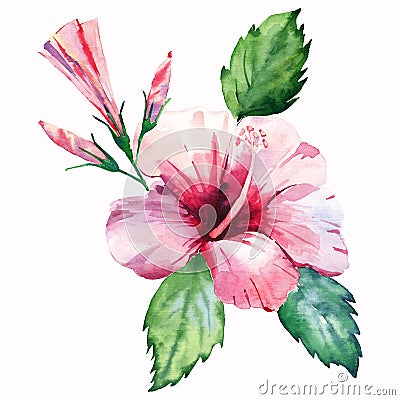 Green herbal tropical wonderful hawaii floral summer tropic pink red flower with buds and green leaves Cartoon Illustration