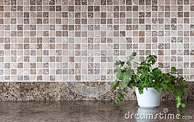 Green herbs on kitchen countertop Stock Photo