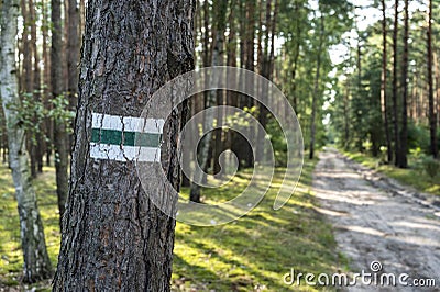 Green hiking trails marker on the tree Stock Photo