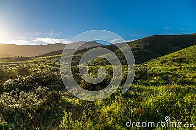 Green Hills After the Rain Stock Photo