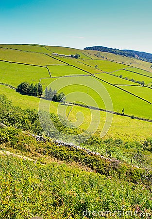 Green Hilly Fields in Staffordshire Stock Photo