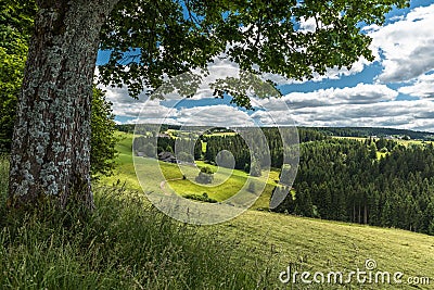 Black Forest landscape in Southern Germany Stock Photo