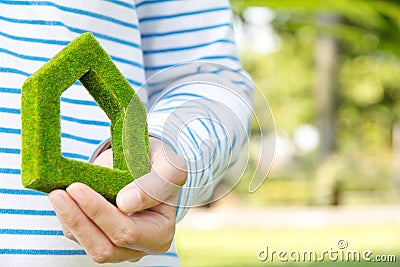 Green house icon concept Stock Photo