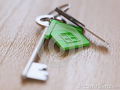 Green house keychain and keys on table close-up Stock Photo