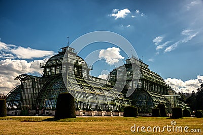 Green house Palmenhaus Schonbrunn Editorial Stock Photo