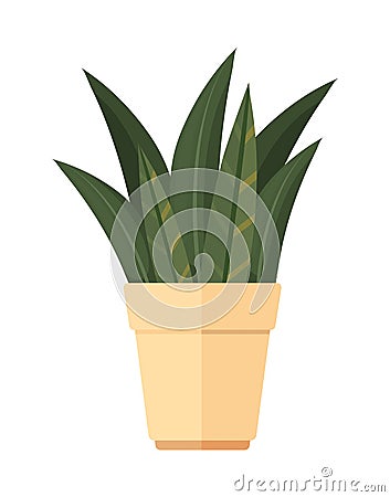 Green houseplant design Vector Illustration