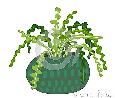 Green houseplant icon. Indoor fern plant in pot Vector Illustration