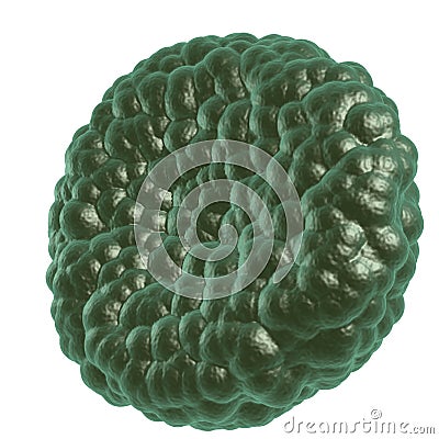 Green illness blood cell Stock Photo