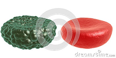 Green illness and red blood cell Stock Photo