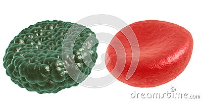 Green illness and red blood cell Stock Photo