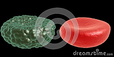 Green illness and red blood cell Stock Photo