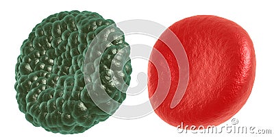 Green illness and red blood cell Stock Photo