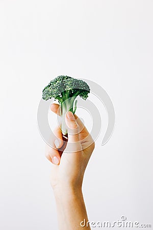 Green inflorescence of fresh broccoli in hand on a white background. vegan food Stock Photo