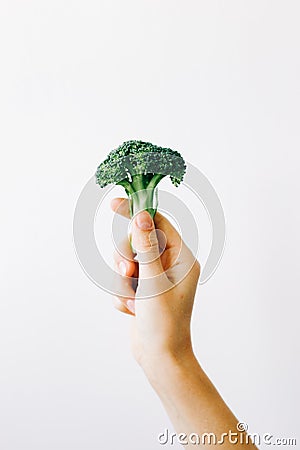 Green inflorescence of fresh broccoli in hand on a white background. vegan food Stock Photo