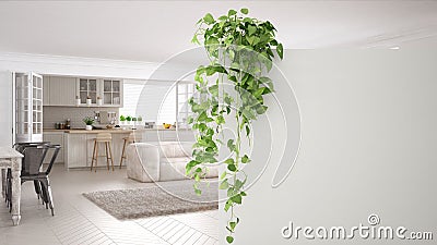 Green interior design concept background with copy space, foreground white wall with potted plant, contemporary white living room Stock Photo