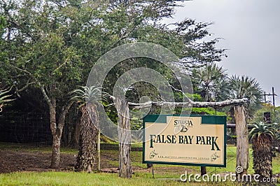 Green and isolated False bay park in Isimangaliso wetlands in South Africa Stock Photo