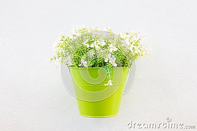 Green Jardiniere and flower on wall Stock Photo