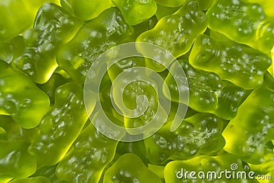 Green jelly babies / gummy bear candy sweets Editorial Stock Photo