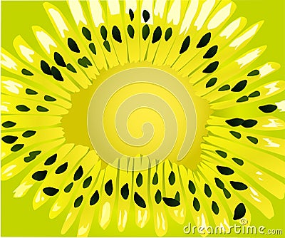 Green kiwi background illustration Vector Illustration