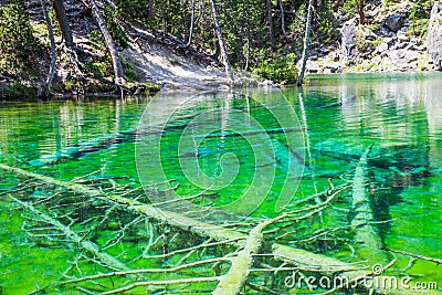 Green Lake Stock Photo
