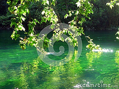 Green lake Stock Photo