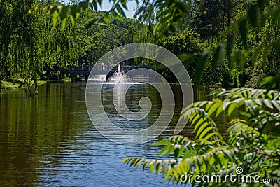 Green lake in Mezhyhirya park at Novi Petrivtsi near Kyiv Ukraine Stock Photo