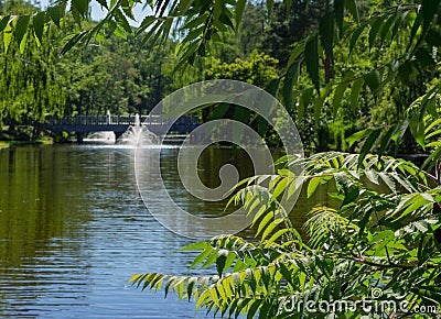 Green lake in Mezhyhirya park at Novi Petrivtsi near Kyiv Ukraine Stock Photo