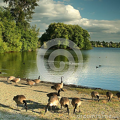 Green Lake, Seattle Stock Photo