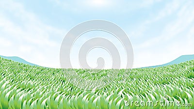 Green land Stock Photo