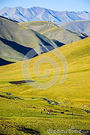 Green lands under mountains with horses. Stock Photo